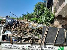 Best Hoarding Cleanup  in Peebles, OH